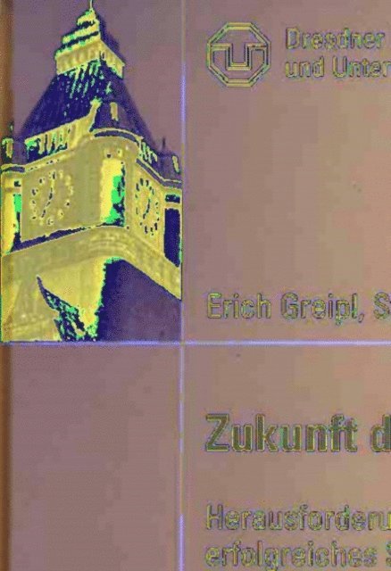 Stefan Muller, Erich Greipl - Zukunft der Innenstadt, E-bok