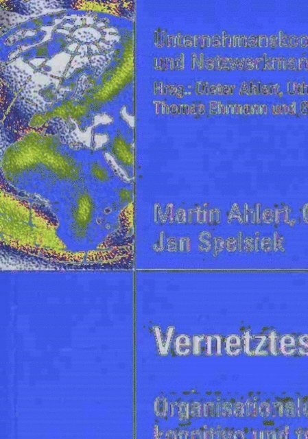 Jan Spelsiek, Gunther Blaich, Martin Ahlert - Vernetztes Wissen, E-bok