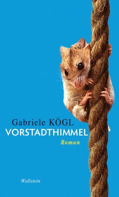 Gabriele Kogl - Vorstadthimmel, E-bok