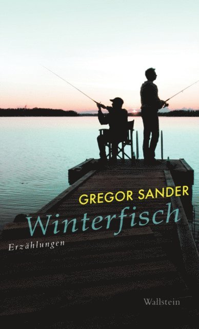 Gregor Sander - Winterfisch, E-bok