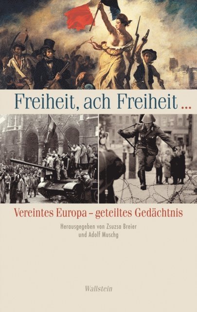 Adolf Muschg, Zsuzsa Breier - Freiheit, ach Freiheit ..., E-bok