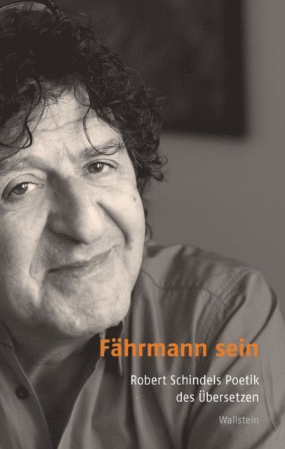 Iris Hermann - Fährmann sein, E-bok