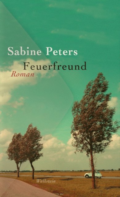 Sabine Peters - Feuerfreund, E-bok