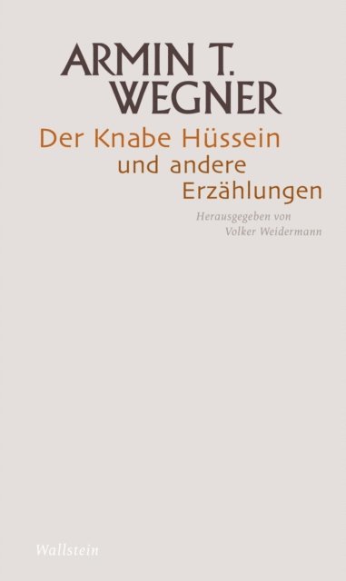 Armin T. Wegner, Volker Weidermann - Der Knabe Hüssein und andere Erzählungen, E-bok