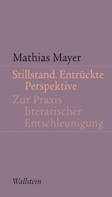 Mathias Mayer - Stillstand. Entrückte Perspektive, E-bok