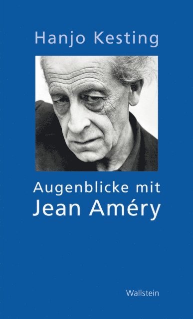 Hanjo Kesting - Augenblicke mit Jean Améry, E-bok