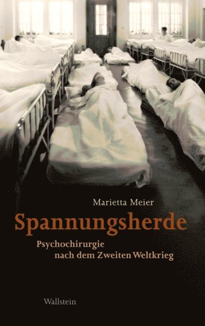 Marietta Meier - Spannungsherde, E-bok