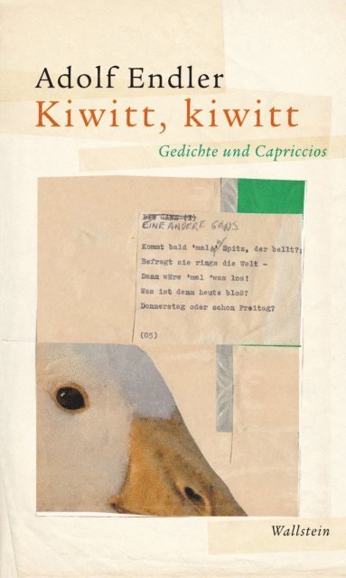 Adolf Endler - Kiwitt, kiwitt, E-bok