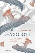 Der Axolotl