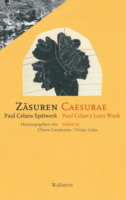 Vivian Liska, Chiara Caradonna - Zäsuren / Caesurae, E-bok