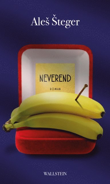 Ales Steger - Neverend, E-bok
