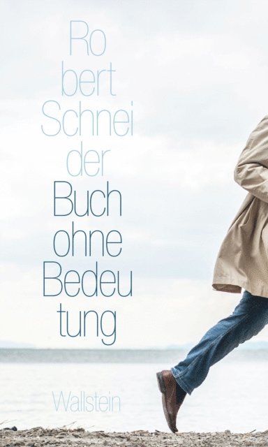 Robert Schneider - Buch ohne Bedeutung, E-bok