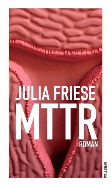 Julia Friese - MTTR, E-bok