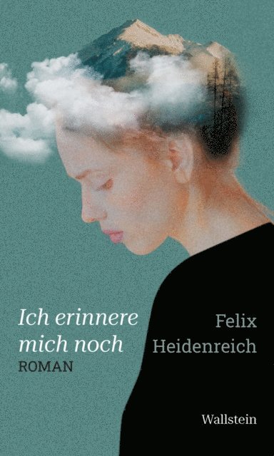Felix Heidenreich - Ich erinnere mich noch, E-bok