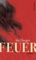 Ales Steger - Feuer, Inbunden