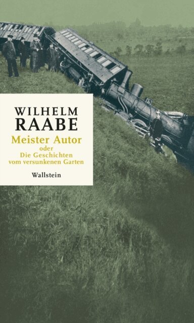 Wilhelm Raabe, Dirk Gottsche - Meister Autor, E-bok