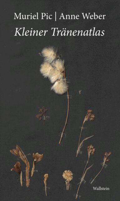 Anne Weber, Muriel Pic - Kleiner Tranenatlas, E-bok