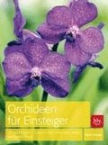 Orchideen fr Einsteiger
