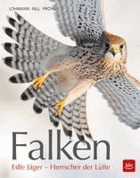 Michael Lohmann - Falken, Inbunden