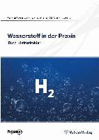 Thomas Schneidewind, Harald Petermann - Wasserstoff in der Praxis Band 1, Häftad