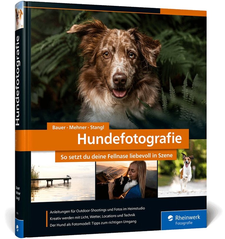 André Bauer, Diana Jill Mehner, Sarah Stangl - Hundefotografie, Inbunden