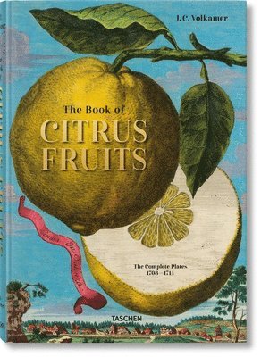 J. C. Volkamer. Citrus Fruits av Iris Lauterbach, Taschen