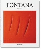 Barbara Hess - Fontana, Inbunden