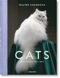 Walter Chandoha. Cats. Photographs 1942-2018