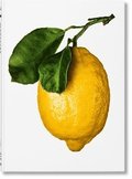 Gourmand's Lemon