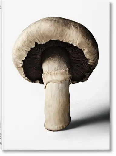 Gourmand's Mushroom