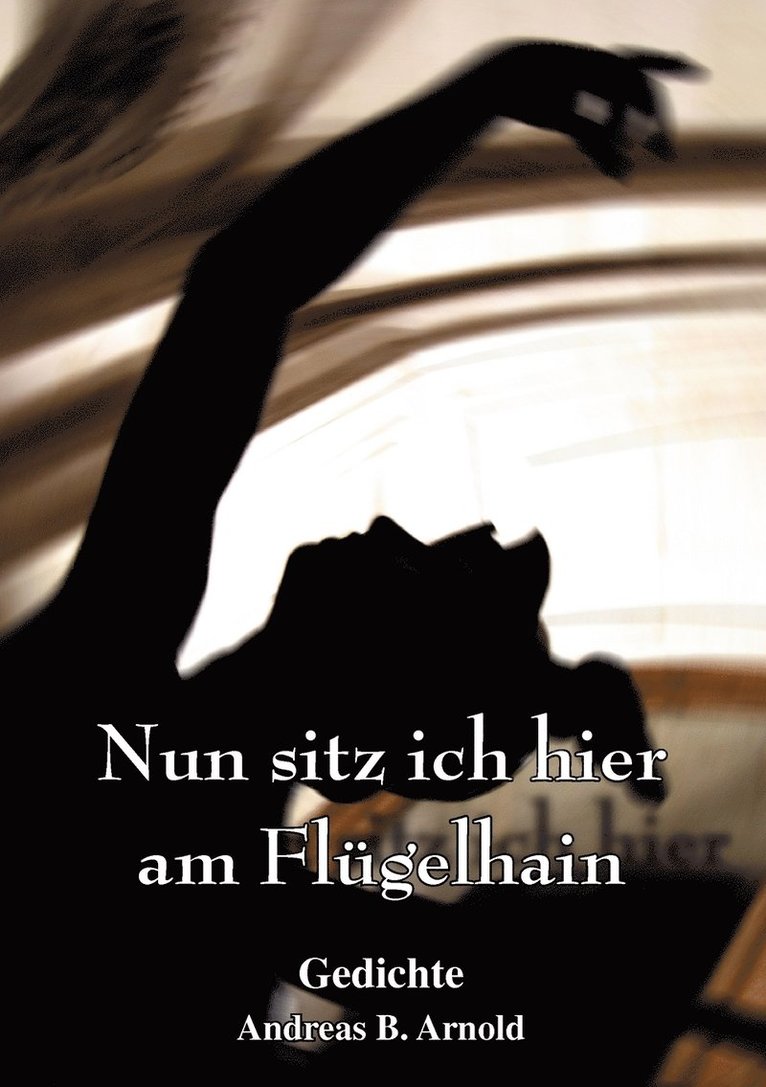 Andreas B Arnold - Nun sitz ich hier am Flügelhain, Häftad