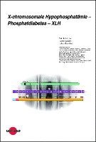 Dirk Schnabel, Dieter Haffner, Lothar Seefried - X-chromosomale Hypophosphatämie - Phosphatdiabetes - XLH, Inbunden