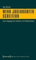 Kay Biesel - Wenn Jugendämter scheitern, Häftad