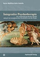 Rainer Matthias Holm-Hadulla - Integrative Psychotherapie, Häftad