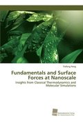 Fundamentals and Surface Forces at Nanoscale