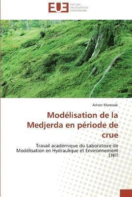 Modélisation de la medjerda en période de crue