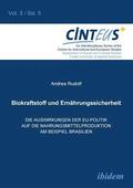 Biokraftstoffpolitik und Ern?hrungssicherheit. Die Auswirkungen der EU-Politik auf die Nahrungsmittelproduktion am Beispiel Brasilien