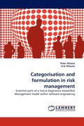 Categorisation and formulation in risk management