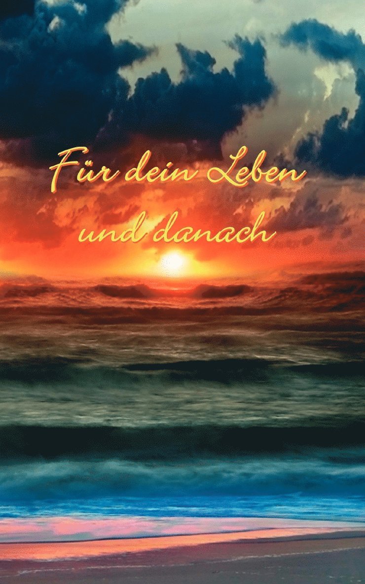 Ingo Schneider - Für Dein Leben und danach, Häftad