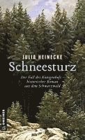 Julia Heinecke - Schneesturz - Der Fall des Königenhofs, Häftad