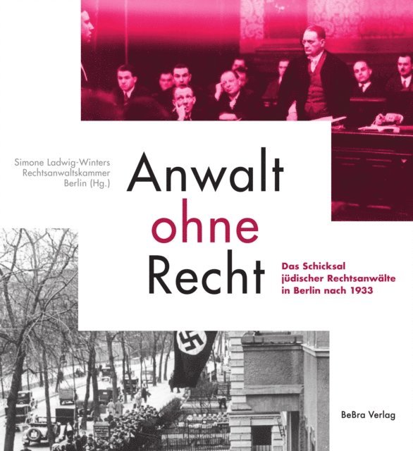 Simone Ladwig-Winters - Anwalt ohne Recht, E-bok