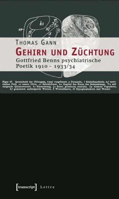 Thomas Gann - Gehirn und Züchtung, E-bok