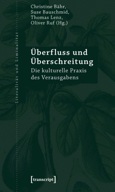 Oliver Ruf, Thomas Lenz, Suse Bauschmid, Christine Bahr - Überfluss und Überschreitung, E-bok