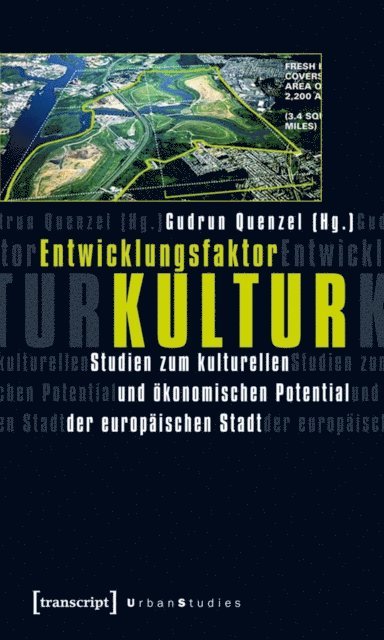 Gudrun Quenzel - Entwicklungsfaktor Kultur, E-bok