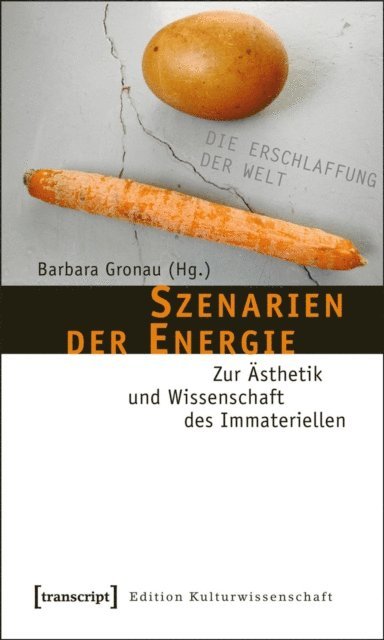 Barbara Gronau - Szenarien der Energie, E-bok