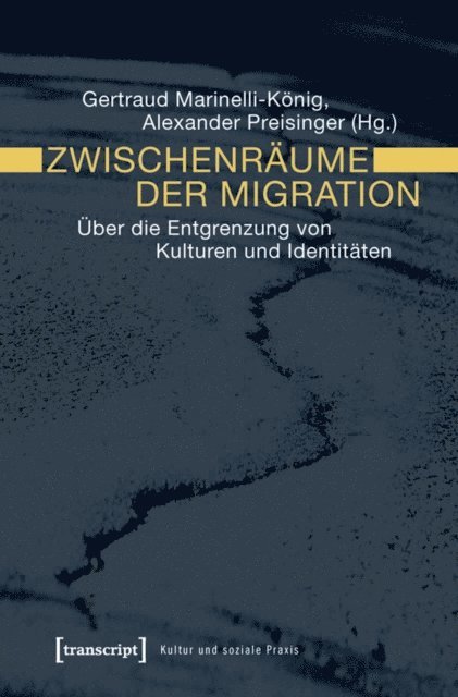 Alexander Preisinger, Gertraud Marinelli-Konig - Zwischenräume der Migration, E-bok