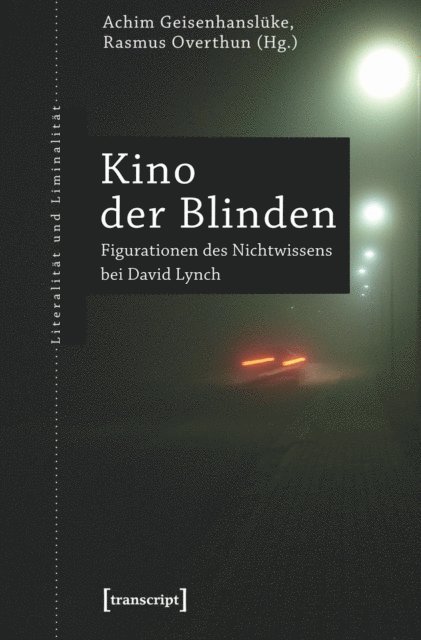 Rasmus Overthun, Achim Geisenhansluke - Kino der Blinden, E-bok