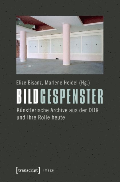 Marlene Heidel, Elize Bisanz - Bildgespenster, E-bok