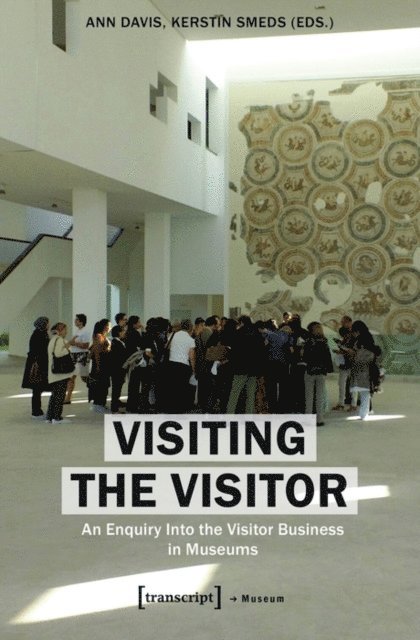 Kerstin Smeds, Ann Davis - Visiting the Visitor, E-bok