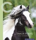Tinker Ponys